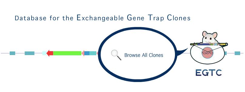 Database for the Exchangeable Gene Trap Clones